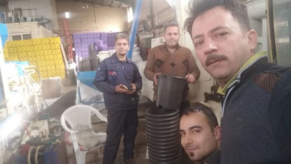 سبد سازی رجب زاده